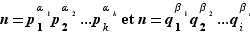 n=p_1^α_1p_2^α_2...p_k^α...