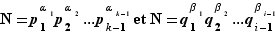 N=p_1^α_1p_2^α_2...p_k-1...