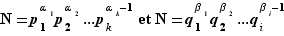 N=p_1^α_1p_2^α_2...p_k^α...